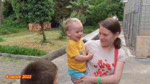 В Абхазии  3-4 июня 2022 . Сухум, Пансионат Айтар, Сухумский Обезьянник