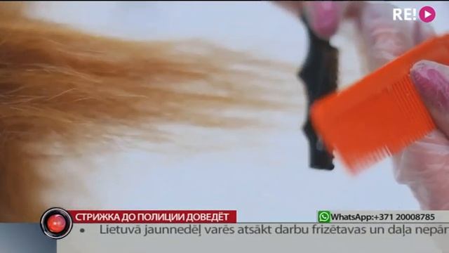 Стрижка до полиции доведёт смотреть онлайн