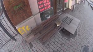 Интернет провайдер сбрасывает оптоволокно 08.12.2017