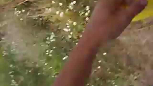 Пляж Храп смотреть онлайн