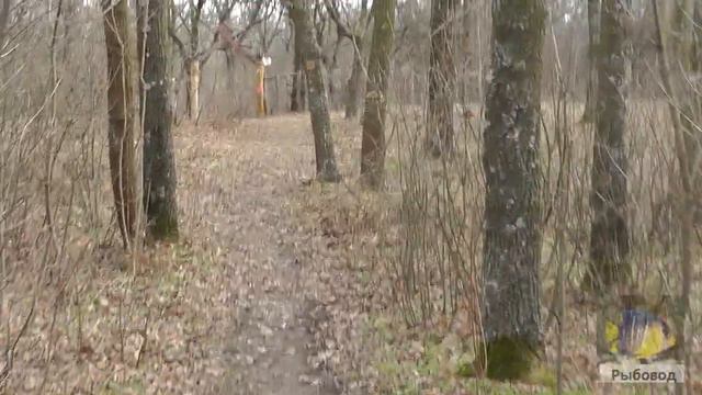 Зимний поход с ночёвкой Кудашево Капище Карачуны 2 часть . Winter hike part 2 смотреть онлайн