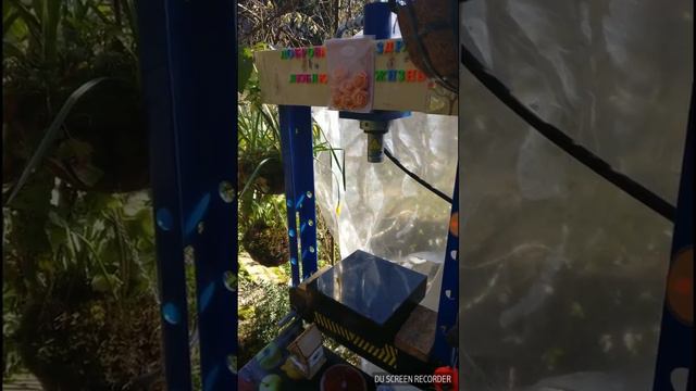 Чего состоит пресс для отжима масла