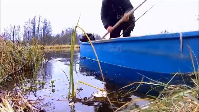 Рыбалка на любимой речке смотреть онлайн