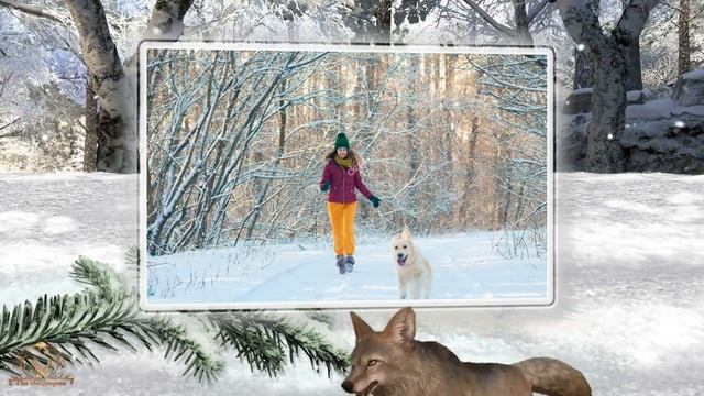 В снежном лесу | Fairy forest | Слайд-шоу на заказ | Проект ProShow Producer смотреть онлайн