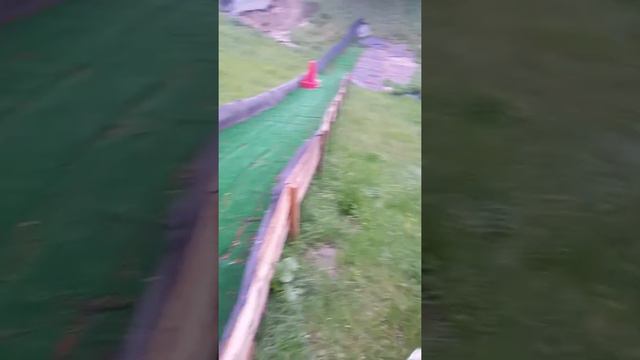 Бордер-колли шоу класса смотреть онлайн