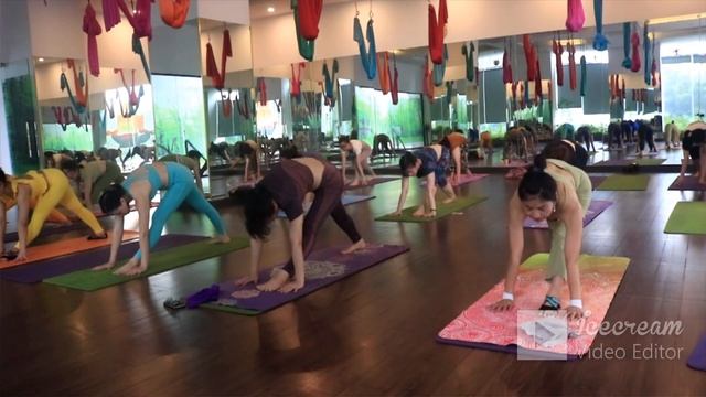 Session-19 2023 Mix Yoga Flow Beginner To Intermediate Level || Yoga With Sandeep || Vietnam смотреть онлайн