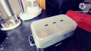 Яйцеварка STEBA EK7. Как приготовить яйца пашот в яйцеварке