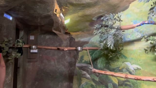 VLOG | ЗООПАРК | ПРИЕХАЛИ В ЗООПАРК | KATRIN_BISER смотреть онлайн