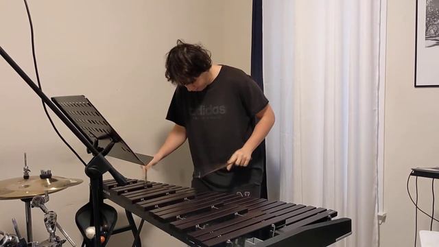 World's FASTEST Xylophone SOLO! смотреть онлайн
