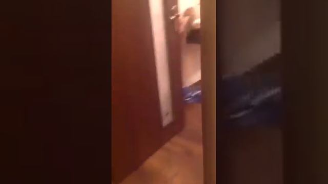 Научился ходить!) смотреть онлайн