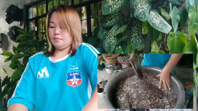 Repot Tayo ng succulent #succulentlovers #plantlovers #happyplanting смотреть онлайн