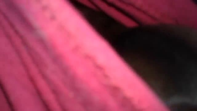 Trying To Nurse On A Armpit