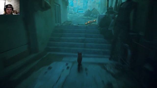Та самая игра про кота STRAY Прохождение #2 Мёртвый город смотреть онлайн