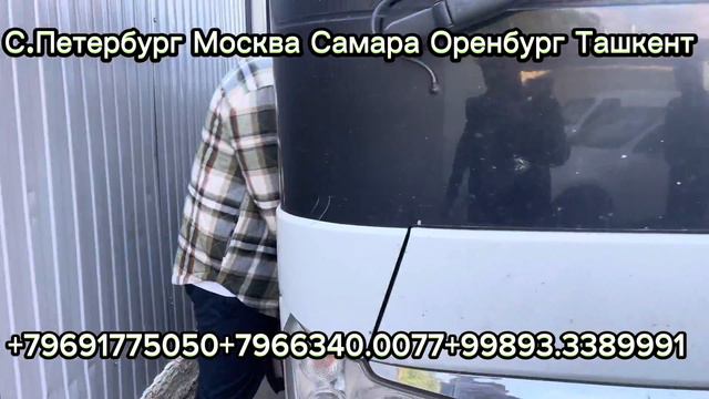 Москва Ташкент автобус Санк Петербург Ташкент автобуса смотреть онлайн
