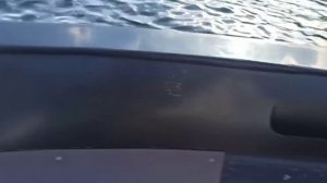 лодка из ПНД север 380