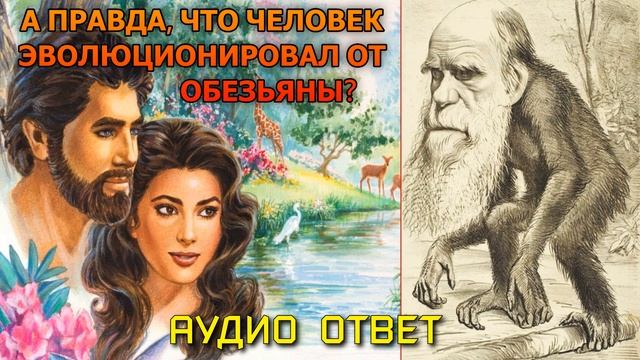 Аудио Ответ: А правда, что человек эволюционировал от обезьяны? Эволюция или креационизм? смотреть онлайн