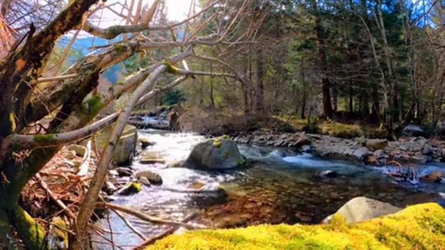 Beautiful Relaxing Music * Meditation Music, Sleep Music, Stress Relief Music, 睡眠音乐 смотреть онлайн