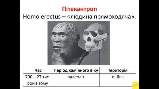 6 класс. Всемирная история. Урок №3. Еволюція людини