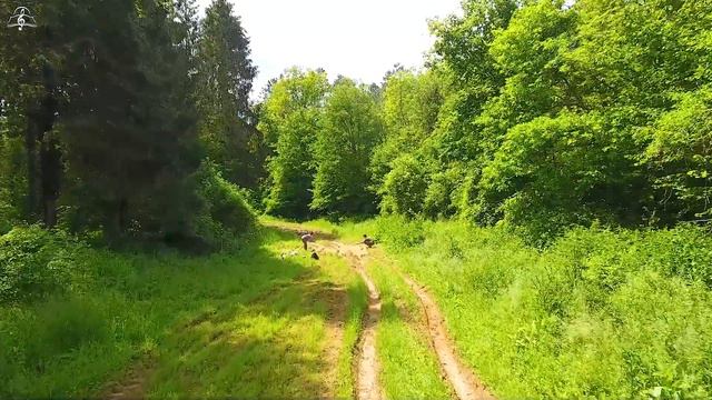 In Christ Alone: Instrumental Worship & Prayer Music With Nature 🌿 Piano de Cristián смотреть онлайн