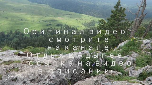 Плато Лаго-Наки 2020. Адыгея.Дорога и Смотровые площадки. смотреть онлайн