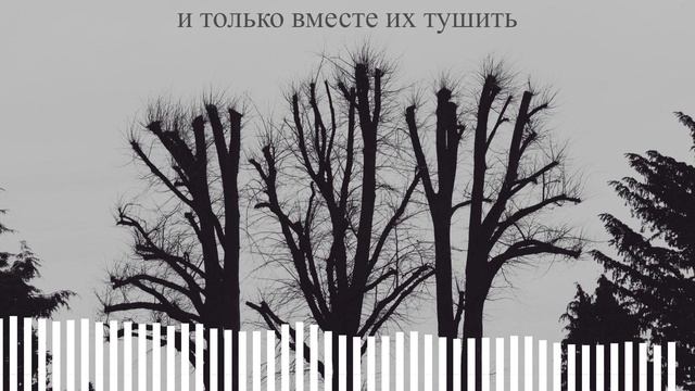 Дворы - Ssshhhiiittt! (текст)