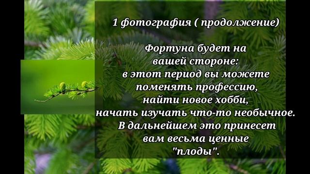 Тест-гадание! Что вас ждёт в будущем смотреть онлайн
