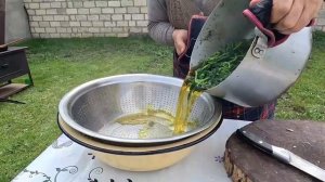 Жареная крапива. Простой рецепт, невероятный вкус Азербайджанская Кухня Деревенская Кухня  Рецепты