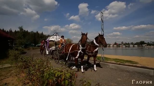 Культурно развлекательный комплекс «Глория» Gloria 2013