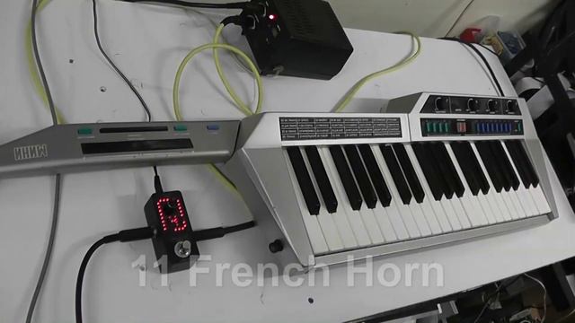 Formanta Mini Soviet Keytar