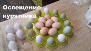 Освещение в курятнике. Курятник своими руками. 5 часть.