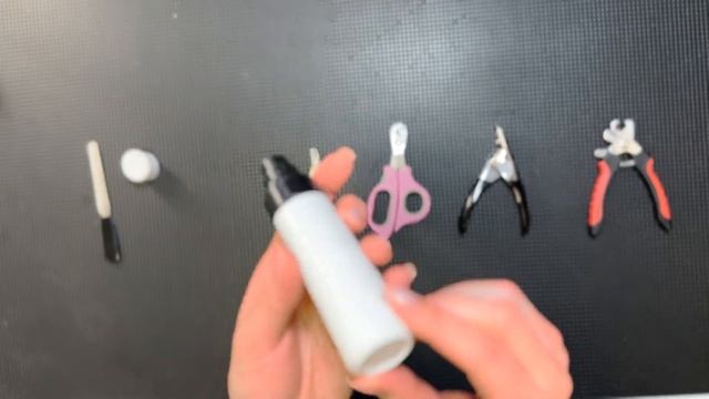 Стрижка когтей кошек и собак. Чем стричь? Как стричь? смотреть онлайн