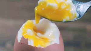 Питание после тюбажа