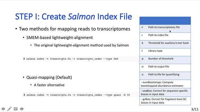 Salmon Tutorial by Yushi Tang (Felix) смотреть онлайн