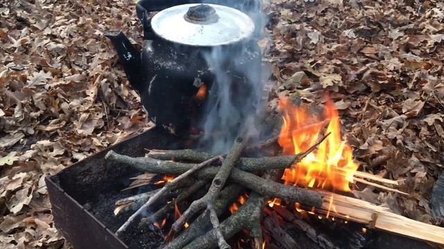 cooking tea in the woods | Чай в лесу. Самурский лес. Дагестан смотреть онлайн
