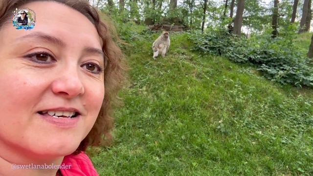 NaturZoo Rheine/отпуск начался и мы идём в зоопарк 🤗/жизнь в Германии смотреть онлайн