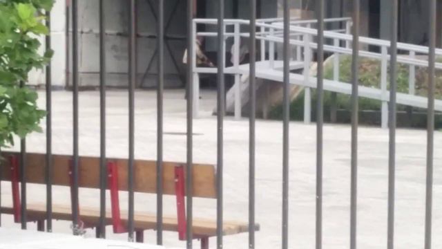 Дворники дерутся метлами смотреть онлайн