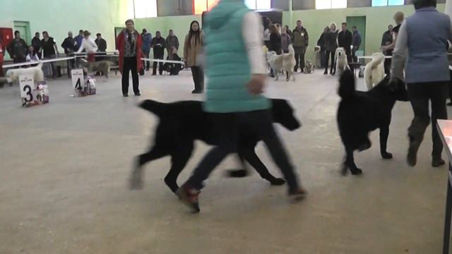 Выставка САО "Александрова Слобода 2017" смотреть онлайн