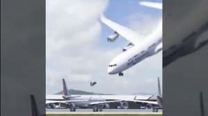 самолет машет крыльями и играется в полете сптицей