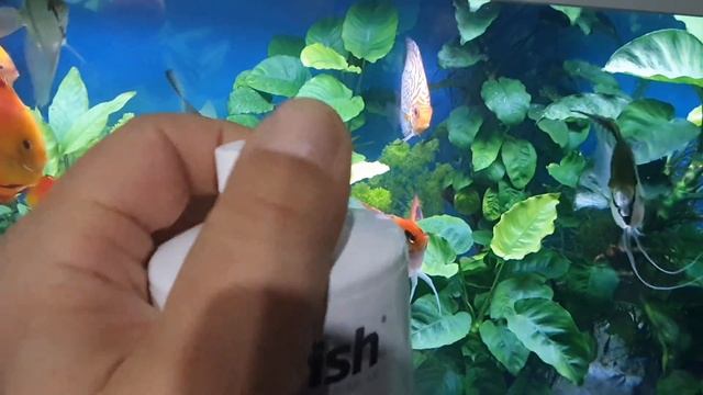 ABONOS DE SEACHEM FLOURISH Y FLOURISH POTASSIUM смотреть онлайн