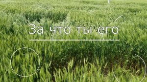 Юра Шатунов "Грёзы"