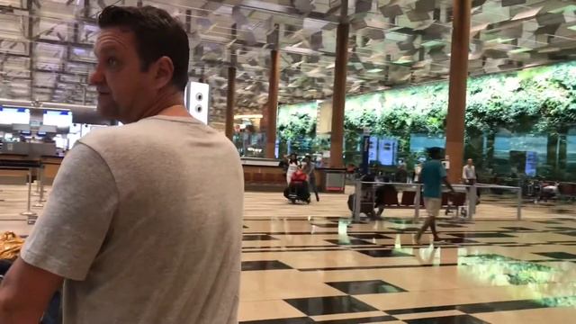 Перелёт Бали- Сингапур. Аэропорт Чанги 1 и 3 терминалы. смотреть онлайн