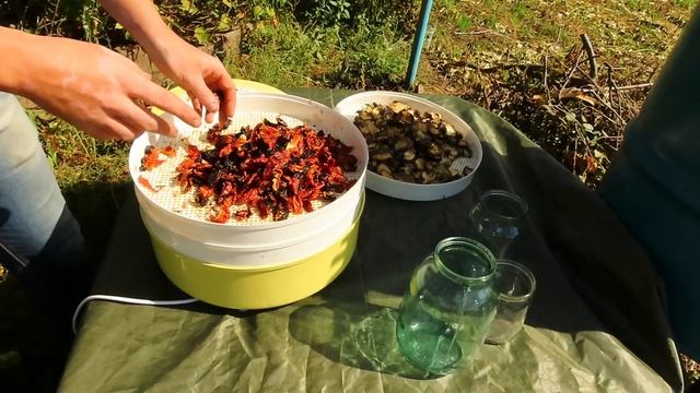 Вяленые Томаты. Вяленые Помидоры. Супер вкусно и полезно. смотреть онлайн