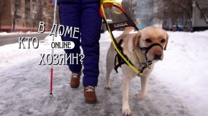 МИРА – МОИ ГЛАЗА