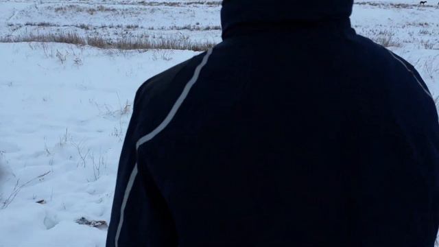 После деда мороза и как решили повесить с папой гирлянду но в итоге не повесили смотреть онлайн