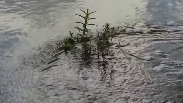 254 Между электирчками, не песня 124 мб смотреть онлайн