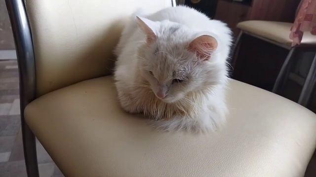Моя рутина дома! Работа, работа и еще раз работа 😁 смотреть онлайн
