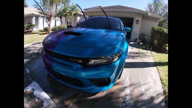 Washing The Scat! Guess What We Got!? смотреть онлайн