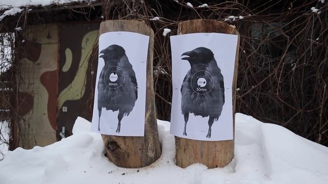 EDGUN LESHIY | ЭДГАН ЛЕШИЙ | Как стреляет современная воздушка? смотреть онлайн