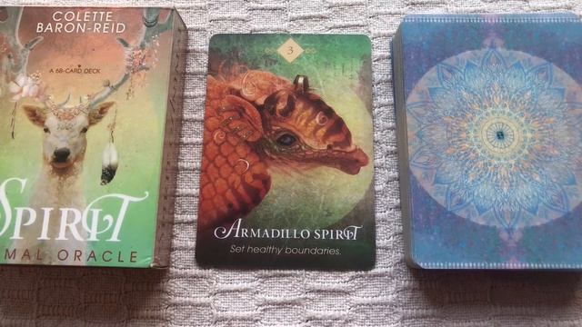 The Spirit Animal Oracle 03/68 Armadillo guide book audio description смотреть онлайн