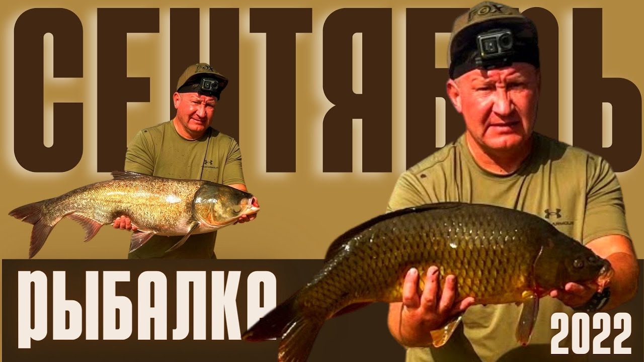 РЫБАЛКА НА САЗАНА ПРОШЛА УДАЧНО! ЖОР САЗАНЫ, ТОЛСТОЛОБИК ! Рыбацкая Усадьба Кораблик Actor GPS Camo. смотреть онлайн